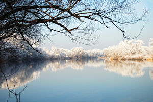 Diemelsee im Winter 