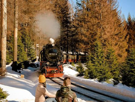 [Translate to english:] Entdecken Sie den Nationalpark Harz mit der Brocken-Schmalspurbahn.