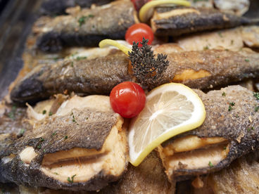 Fisch im Auqa Vita