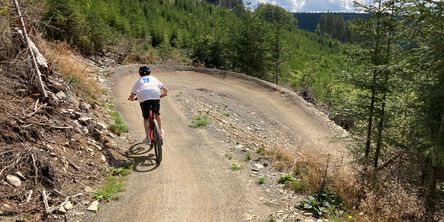 Junge fährt mit seinem Fahrrad einen steilen Waldweg entlang 