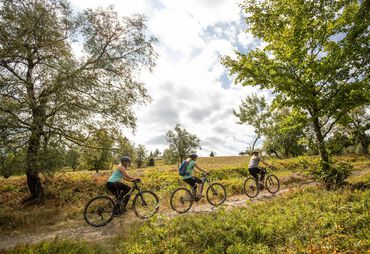 Bild zur News: Bett+Bike zertifizierte Göbel Hotels