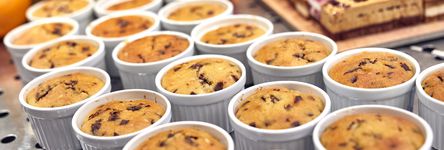 Viele Schokomuffins