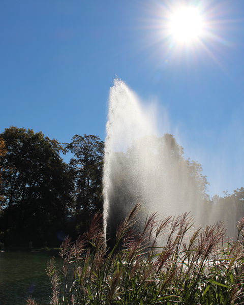 Wasserfontäne im Kurpark in Bad Hersfeld