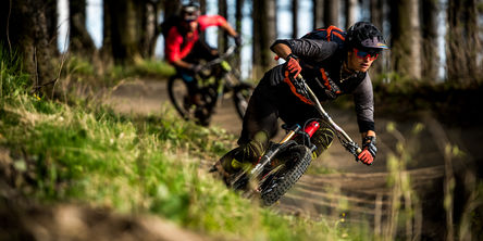Zwei Mountainbiker fahren durch den Wald 