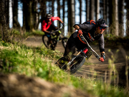 Zwei Mountainbiker fahren durch den Wald 