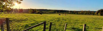 In harmony with the nature
