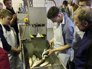 Auszubildende lernen in Göbel's Azubi Akademie das Zubereiten von Fisch.